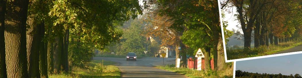 Gminny Ośrodek Pomocy Społecznej Olesno